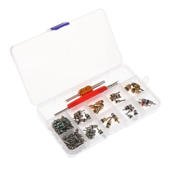 Nishiyuenyi 100 Pieces Air Conditioning Valves Core Easy Installation Assortment A/C
