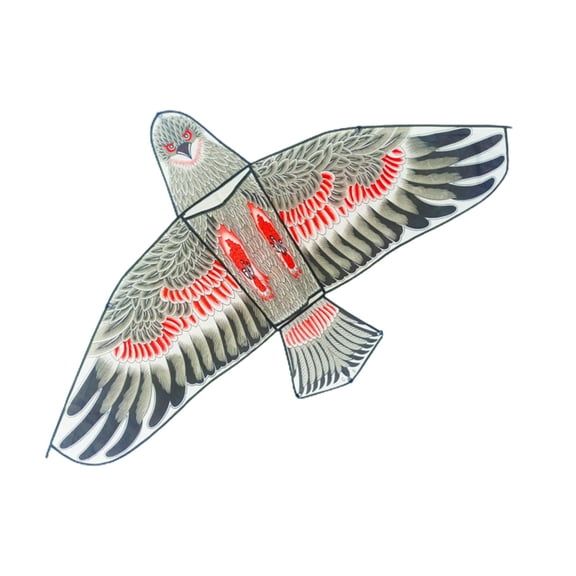 Nishiyuenyi Eagle Kite Decoy Single Line with String Play Fun Animal Kite Bird Kite for Park With White