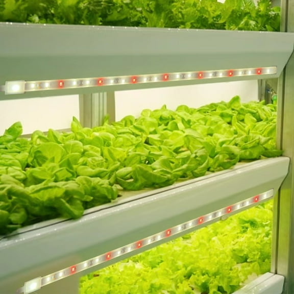 Nishore Growth lamp,Lamp Supplement 3000k Lamp With Usb 4 Dimmable Led Plant Indoor Red 3000k Usb And Lamp Play Led Lamp Indoor Red