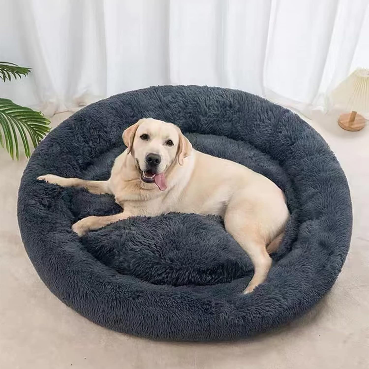 Pets at home dog mattress deals