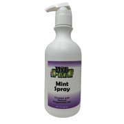Nit Free Head Lice Spray Refill (Peppermint, 32-Ounce)