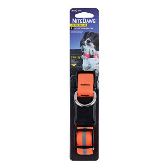 Nite Dawg LED Collar Small