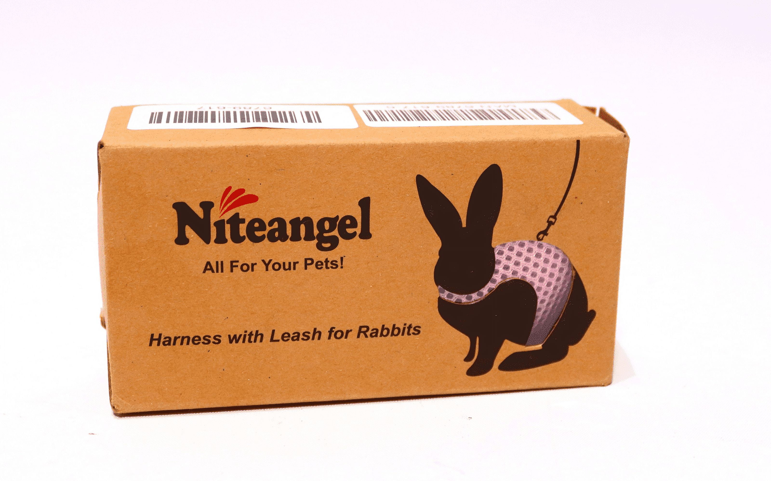 Leashes for cheap rabbits