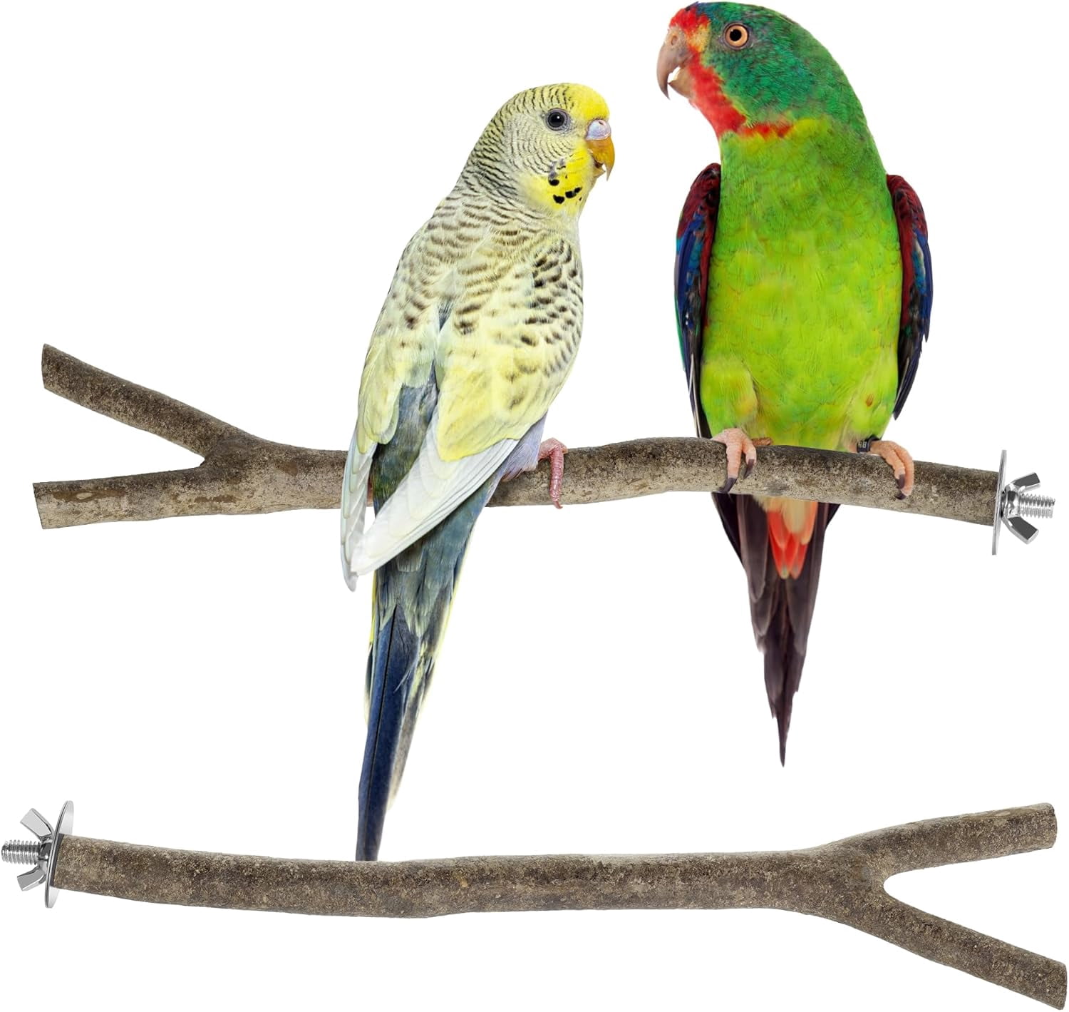 Niteangel Natural Wooden Perches for Bird Cages - Ideal for Cockatiels ...