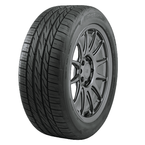 Nitto Motivo All Season 225/40ZR19 93Y XL Passenger Tire