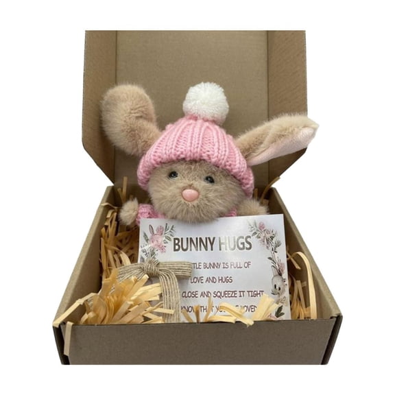 Niuxa Mini Bunny Hug Cute Easter Gift Plush Bunny in a Box Hugs Positive Bunny Stuffed Animal Rabbit Soft Floppy Easter Ideas Bunnies Basket Stuffers Doll Emotional Support Inspirational Gifts