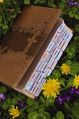 Pre-Owned Niv, Kids' Visual Study Bible, Leathersoft, Bronze, Full Color Interior, Peel/Stick Bible Tabs: Explore the Story of the Bible---People, Places, and History Paperback