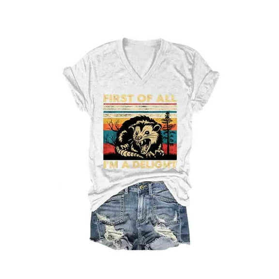 Njagoc3 2025 Womens I'm a Delight Graphic V-Neck Tee - Soft Washed Cotton Crew Short Sleeve, Sassy Funny Quote T-Shirt