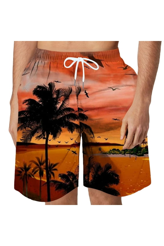 Men's Swim Trunks Swimsuit Mens Fashion 3D Print Swim Board Short Bathing Suit Men Hawaiian Beach Shorts with Pockets Elastic Waist S-6XL (Available in Big & Tall Size)