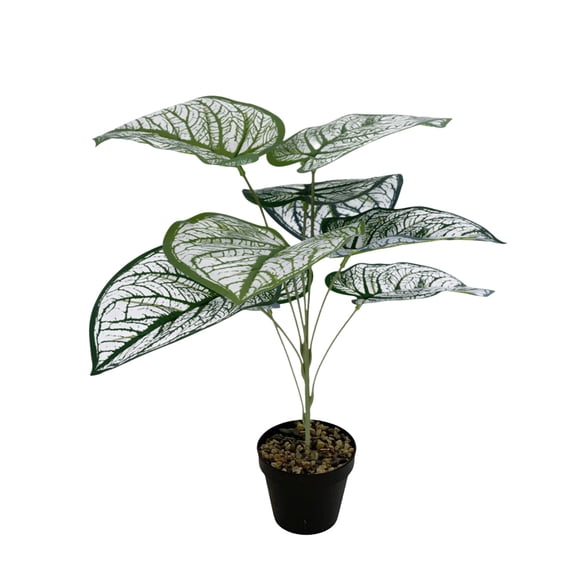 Njshnmn White Variegated Anthurium Leaves Faux With White Marbling For Home Decor Lifelike For DIY Arrangement 8/12/18/24 Pcs