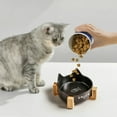 thumbnail image 1 of Nkmbld Cat Bowls Elevated, Ceramic Pet Bowls Durable Raised Cat Food and Water Bowl Set with Antis-Slip Wooden Stand, Easy to Clean, BPA-Free, 1 of 8