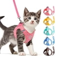 thumbnail image 1 of Nkmbld Dog Harness and Leash Set for Walking, Escape Proof Soft Breathable Mesh Vest, Safe Adjustable Kitten Vest Harnesses for Small Medium Dogs, Cats, 1 of 8