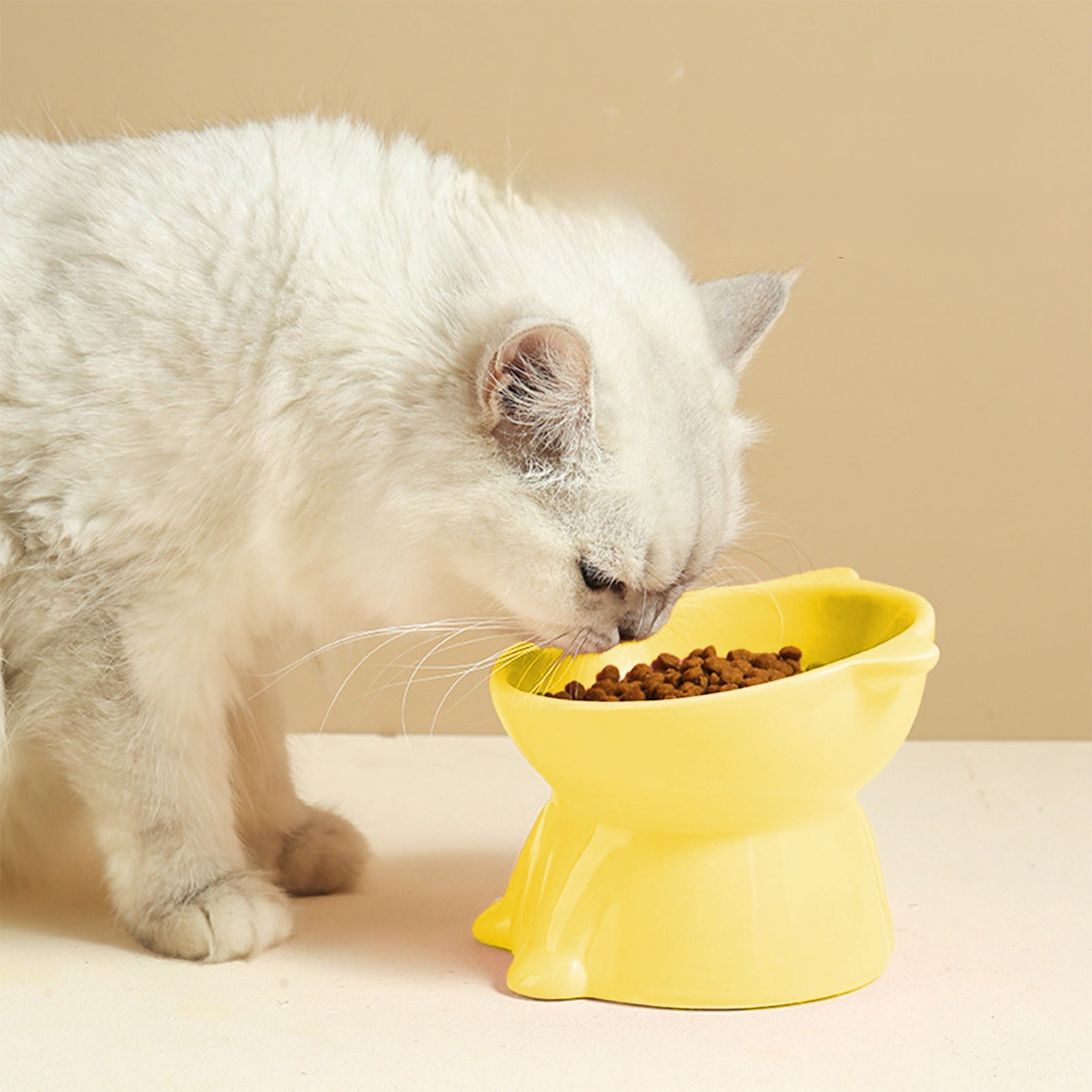 Nkmbld Elevated Ceramic Dog Bowls, Large Capacity Pet Bowl 15 Degrees Tilted Cat Food Bowls, Anti-Vomiting and Whisker Friendly, Easy to Clean