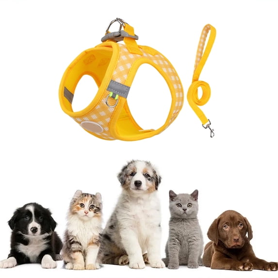 Nkmbld Pet Harness and Leash for Walking, Escape Proof Soft Breathable Mesh Vest, Safe Adjustable Kitten Vest Harnesses for Small Medium Dogs, Cats