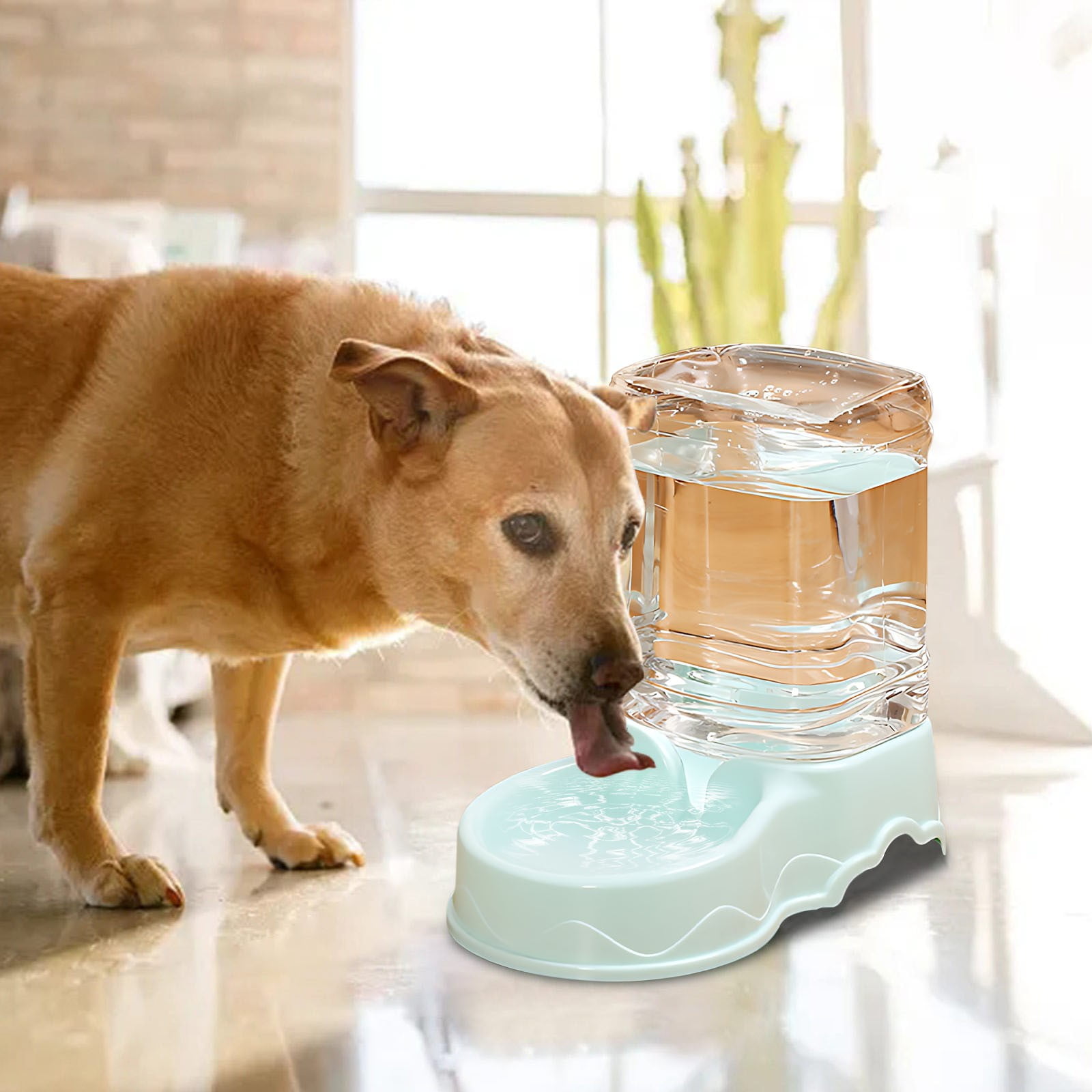 Nkmbld Pet Month Shopping List Automatic Water Feeder for Food Dogs Water Dispenser for Drinking Water Flowing Non in Water Bottle