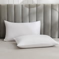 thumbnail image 1 of Nkmbld Pillow Cases King Size 2 Pack, Soft Bedding Pillow Cover with Envelope Closure, Easy Care Microfiber Pillowcases, Machine Washable Pillow Protectors, 1 of 8