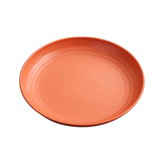 Nkmbld Reusable Lightweight Appetizer Plates Durable Household Dining Table Spit Bones Plates Suitable for Fruits, Snack, Pasta, Cake, Dessert, Multicolor