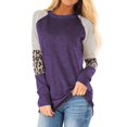 thumbnail image 1 of Nlife Women Stripes Leopard Print Crew Neck Long Sleeve Top, 1 of 11