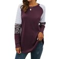 thumbnail image 1 of Nlife Women Stripes Leopard Print Crew Neck Long Sleeve Top, 1 of 9