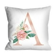 Nlsdqey Peach Skin Throw Pillow Cover Cushion Cover for Sofa Bedroom
