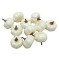 thumbnail image 1 of Nmdmisc 12PCS Mini Artificial Pumpkins, Fall Harvest Simulation Pumpkins Decor Fake Fruit Home Decor for Halloween Thanksgiving Party Decorations, 1 of 5