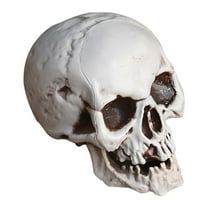 Nmdmisc Halloween Skeletons Plastic Realistic Fake Simulation Human Skull HeadBone Model Halloween Prop Realistic Mini Skeleton Spooky Halloween Decoration