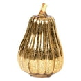 thumbnail image 1 of Nmdmisc Mercury Glass Pumpkin Light,Pumpkin Night Lantern,Battery Operated Led Pumpkin Light,Ideal for Halloween Fall Decoration,Thanksgiving Rustic Decor,Xmas Decor (Gold), 1 of 9