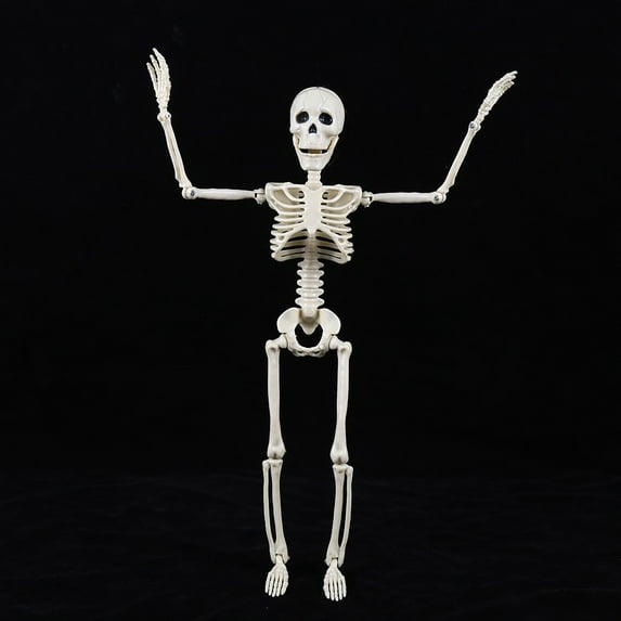 Nmdmisc Posable Halloween Skeleton Decorations Poseable Skeleton With Movable Joints For Halloween Indoor/Outdoor Haunted Houses Graveyard Decor,15.7"