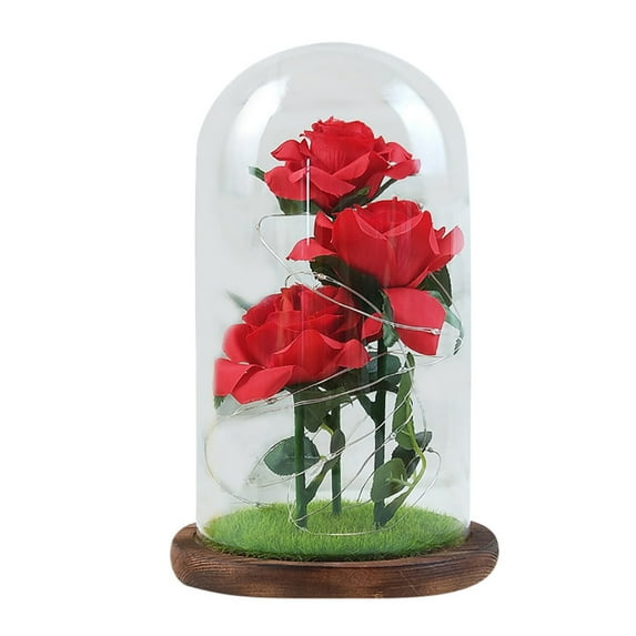 Nmdmisc Preserved Flowers Bouquet Gifts for Her,Eternal Rose Gift for Women,Preserved Rose in Glass Dome with LED Light Ideal for Christmas,Birthday,Anniversary,Valentine's Day,Mother's Day,Red