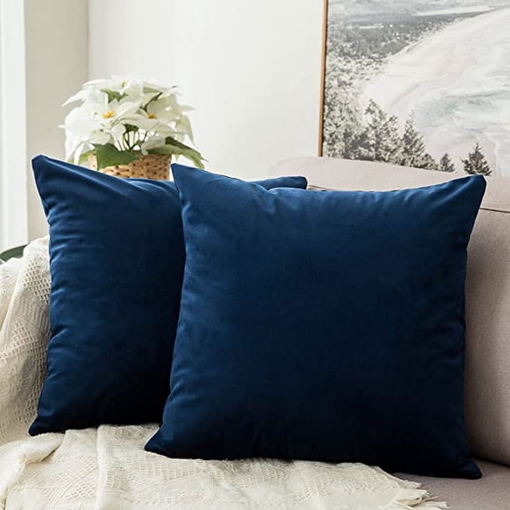 Nmkwnr 18x18inch Set of 2 Velvet Throw Pillow Covers Decorative Square Cushion Case for Bed Couch Sofa