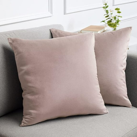 Nmkwnr 2 Pack Comfy Soft Velvet Throw Pillow Covers with Zipper, Decorative Solid Square Cushion Cases for Living Room, Car, Office, 20x20inch