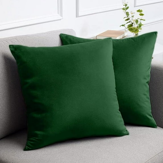 Nmkwnr 2 Pack Comfy Soft Velvet Throw Pillow Covers with Zipper, Decorative Solid Square Cushion Cases for Living Room, Car, Office, 20x20inch