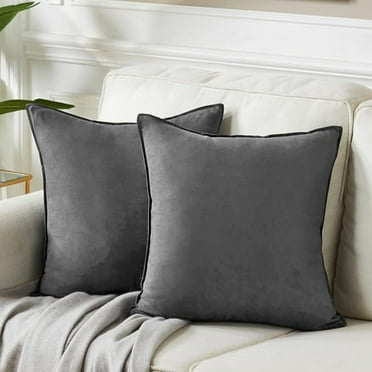 Nmkwnr 2 Pack Decorative Square Throw Pillow Covers Solid Color Cushion Case Soft Velvet Pillow Case for Sofa Bedroom Car Couch, 16 x 16inch