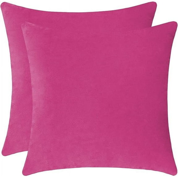 Nmkwnr 2 Pack Decorative Throw Pillow Covers with Zipper, Velvet Square Cushion Case for Couch Sofa Bed Living Room Car, 16 x 16 inches