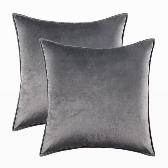 Nmkwnr 2 Pack Decorative Velvet Throw Pillow Covers Soft Solid Square Cushion Case for Sofa Bedroom Living Room, 18x18 inch