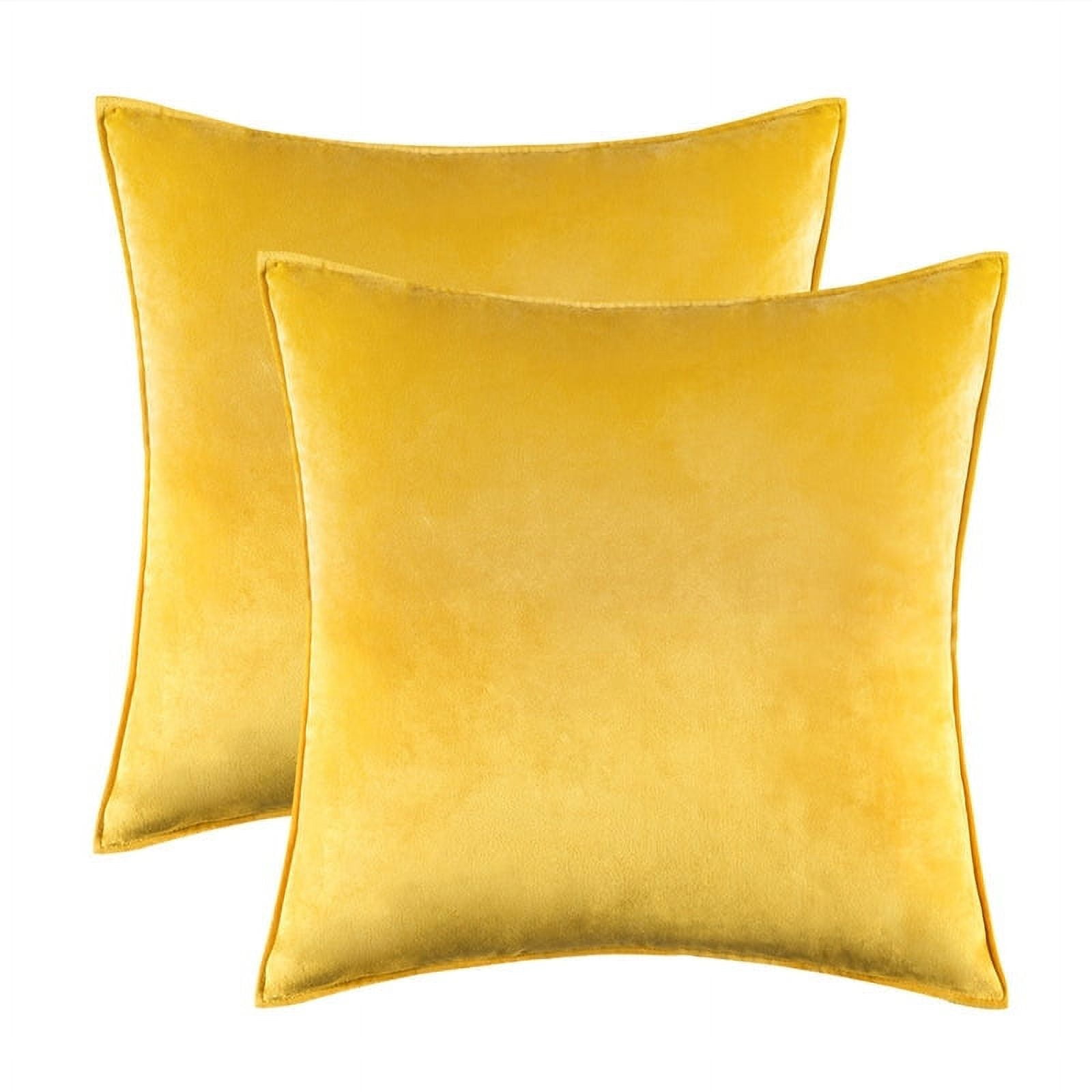 Nmkwnr 2 Pack Decorative Velvet Throw Pillow Covers Soft Solid Square Cushion Case for Sofa Bedroom Living Room, 20x20 inch