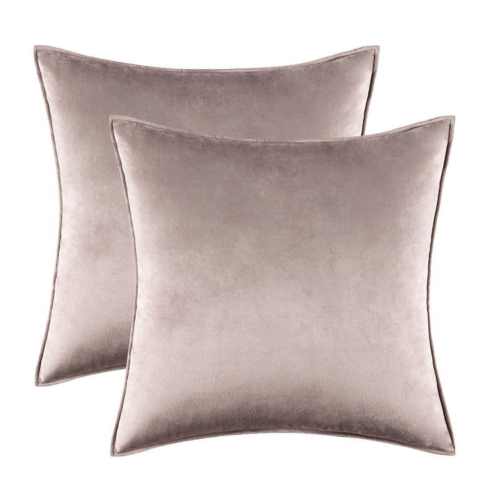Nmkwnr 2 Pack Decorative Velvet Throw Pillow Covers Soft Solid Square Cushion Case for Sofa Bedroom Living Room, 20x20 inch
