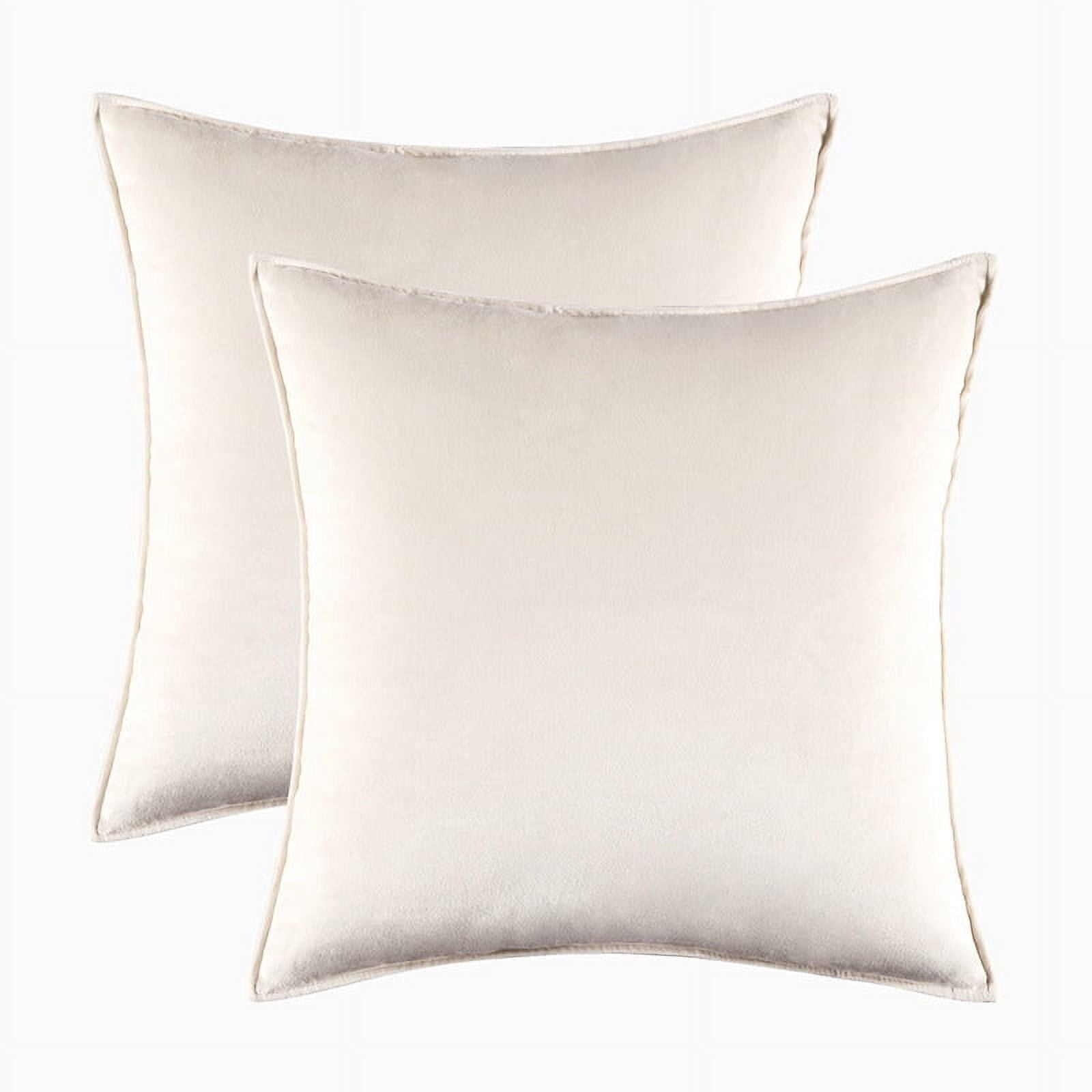 Nmkwnr 2 Pack Decorative Velvet Throw Pillow Covers Soft Solid Square Cushion Case for Sofa Bedroom Living Room, 20x20 inch