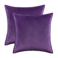 thumbnail image 1 of Nmkwnr 2 Pack Decorative Velvet Throw Pillow Covers Soft Solid Square Cushion Case for Sofa Bedroom Living Room, 24x24 inch, 1 of 7