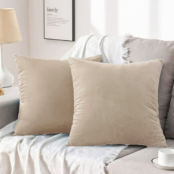 Nmkwnr 2 Pack Soft Velvet Throw Pillow Covers Solid Square Pillow Cases Modern Cushion Covers Case for Sofa Car Office Living Room, 16x16inch