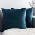 thumbnail image 1 of Nmkwnr 2 Pack Soft Velvet Throw Pillow Covers Solid Square Pillow Cases Modern Cushion Covers Case for Sofa Car Office Living Room, 24x24inch, 1 of 6