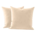 thumbnail image 1 of Nmkwnr 2 Pack Super Soft Velvet Square Throw Pillow Cover with Zipper, Luxury Decorative Cushion Cover for Sofa, Couch, Bedroom, 16 x 16inch, 1 of 6