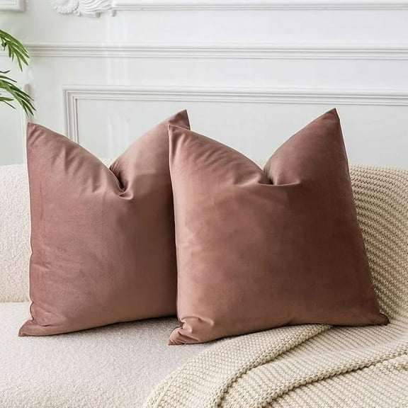 Nmkwnr 2 Pcs Velvet Cushion Covers Soft Solid Decorative Square Throw Pillow Covers Set Cushion Case for Sofa Bedroom Car, 16 x 16 Inch