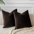 thumbnail image 1 of Nmkwnr 2 Pcs Velvet Cushion Covers Soft Solid Decorative Square Throw Pillow Covers Set Cushion Case for Sofa Bedroom Car, 16 x 16 Inch, 1 of 8