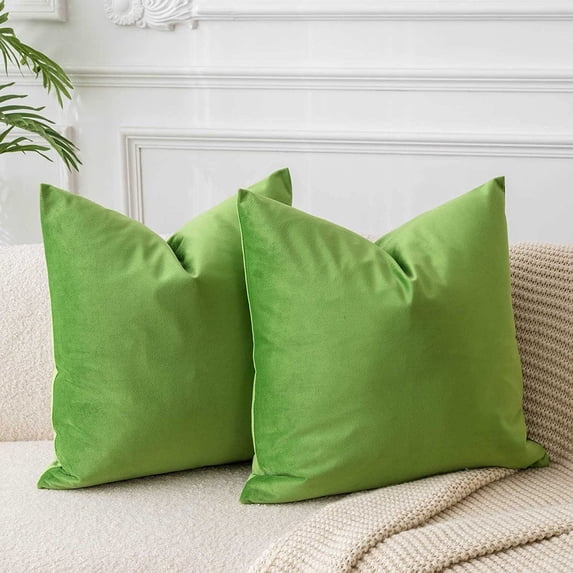 Nmkwnr 2 Pcs Velvet Cushion Covers Soft Solid Decorative Square Throw Pillow Covers Set Cushion Case for Sofa Bedroom Car, 20 x 20 Inch