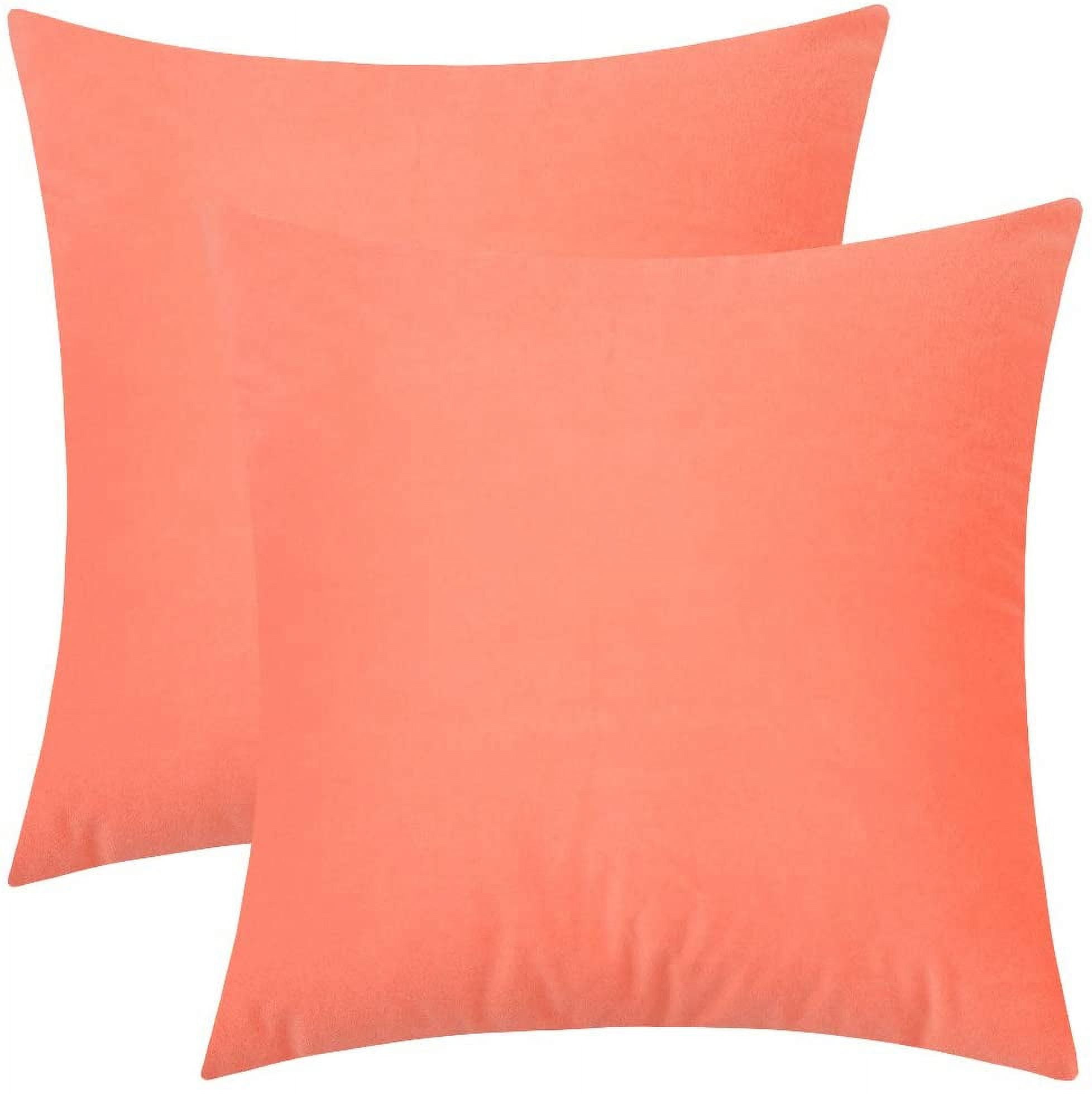 Nmkwnr Set of 2 Decorative Throw Pillow Covers with Zipper, Velvet Pillow Case Square Cushion Covers for Couch Sofa Bed Home Living Room Decor, 16x16 inch