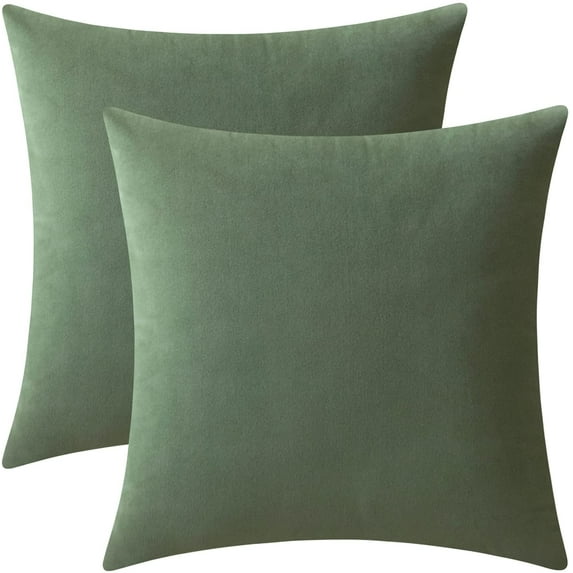 Nmkwnr Set of 2 Decorative Throw Pillow Covers with Zipper, Velvet Pillow Case Square Cushion Covers for Couch Sofa Bed Home Living Room Decor, 22x22 inch