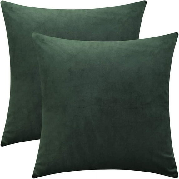 Nmkwnr Set of 2 Decorative Throw Pillow Covers with Zipper, Velvet Pillow Case Square Cushion Covers for Couch Sofa Bed Home Living Room Decor, 24x24 inch