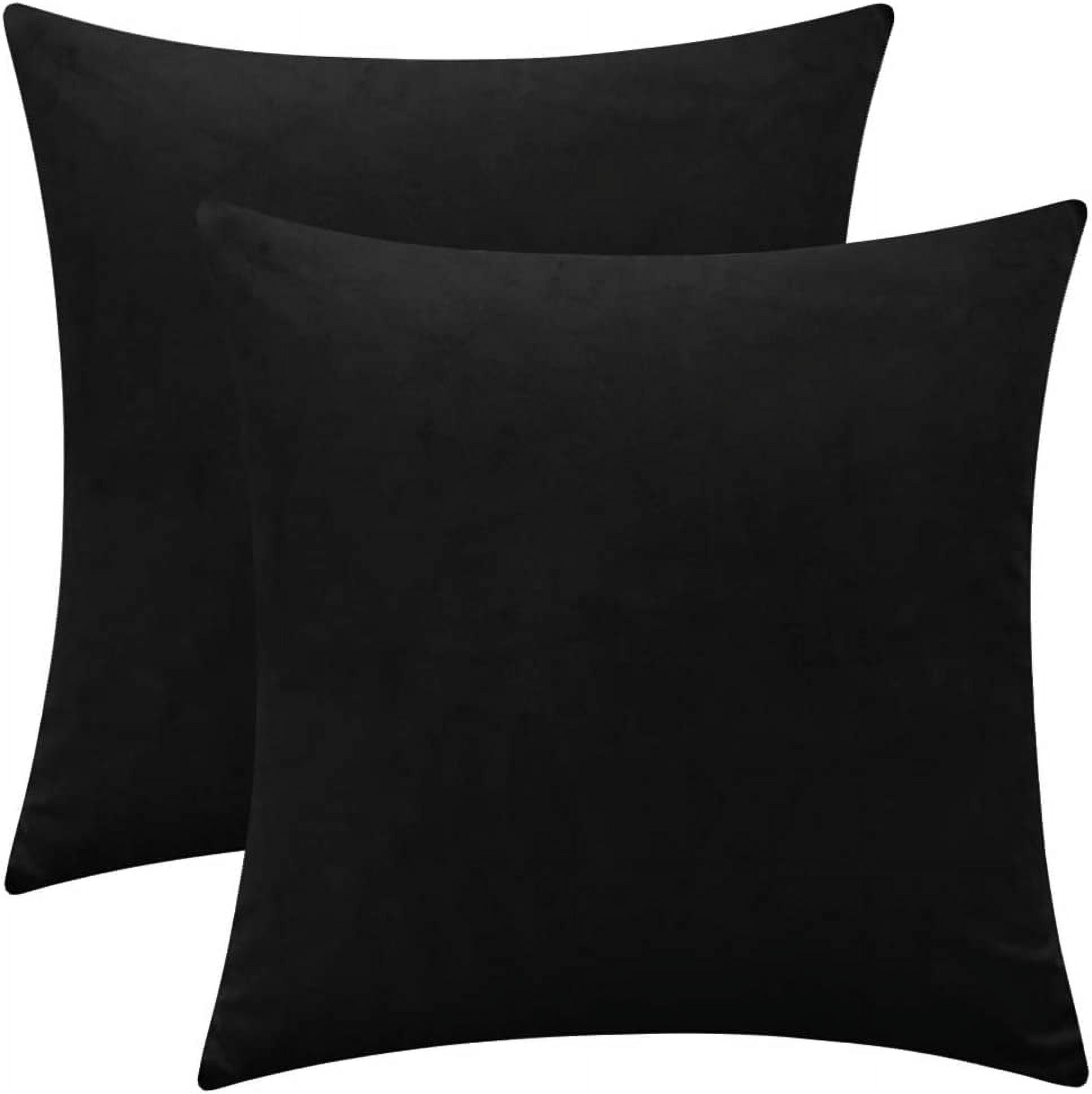 Nmkwnr Set of 2 Decorative Throw Pillow Covers with Zipper, Velvet Pillow Case Square Cushion Covers for Couch Sofa Bed Home Living Room Decor, 24x24 inch
