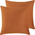 thumbnail image 1 of Nmkwnr Set of 2 Decorative Pillow Covers Soft Velvet Square Throw Pillow Case for Couch Sofa Bed Living Room, 16x16 Inch, 1 of 8